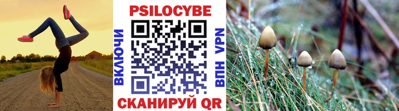Купить  Муром  Псилоцибиновые грибы MAGIC MUSHROOMS 